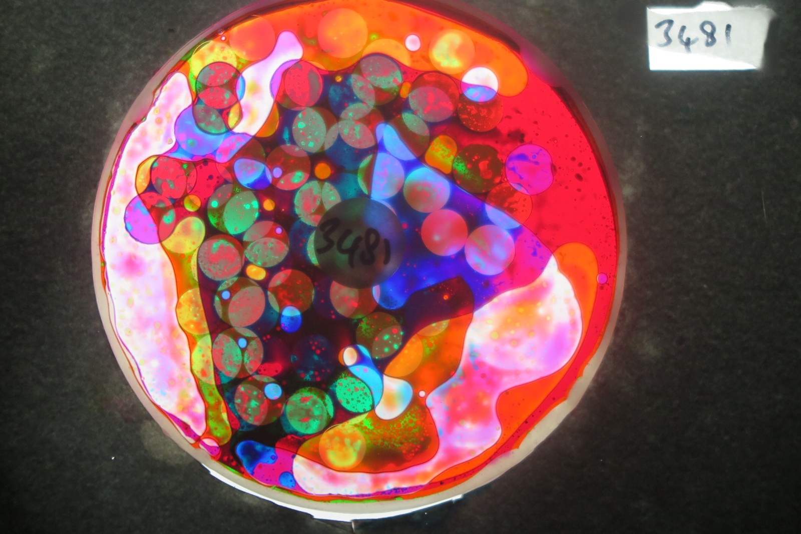 BV3481 bubble vision oil wheel